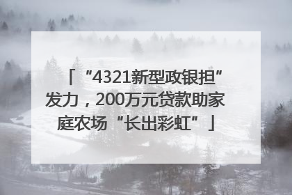 “4321新型政银担”发力，200万元贷款助家庭农场“长出彩虹”