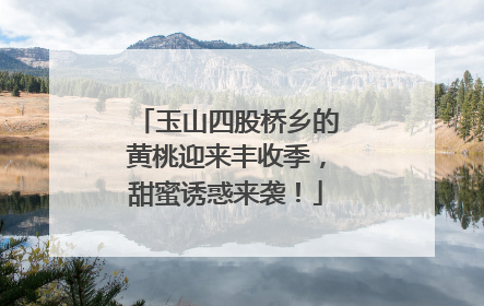 玉山四股桥乡的黄桃迎来丰收季，甜蜜诱惑来袭！