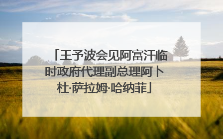 王予波会见阿富汗临时政府代理副总理阿卜杜·萨拉姆·哈纳菲