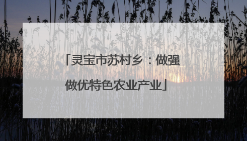 灵宝市苏村乡：做强做优特色农业产业