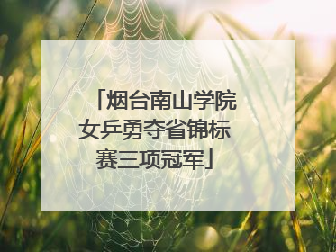 烟台南山学院女乒勇夺省锦标赛三项冠军