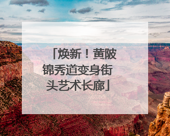焕新！黄陂锦秀道变身街头艺术长廊