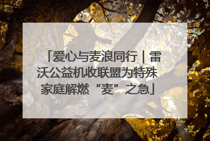 爱心与麦浪同行｜雷沃公益机收联盟为特殊家庭解燃“麦”之急