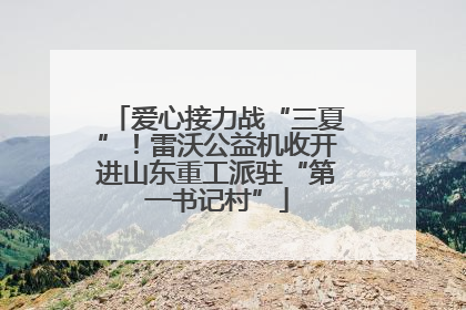 爱心接力战“三夏”！雷沃公益机收开进山东重工派驻“第一书记村”