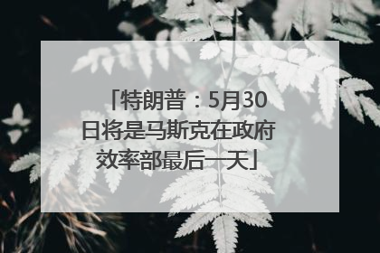 特朗普：5月30日将是马斯克在政府效率部最后一天