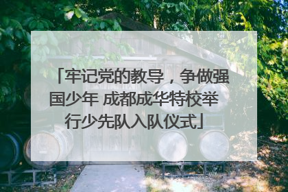 牢记党的教导，争做强国少年 成都成华特校举行少先队入队仪式