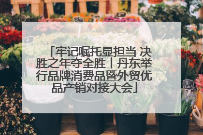牢记嘱托显担当 决胜之年夺全胜丨丹东举行品牌消费品暨外贸优品产销对接大会