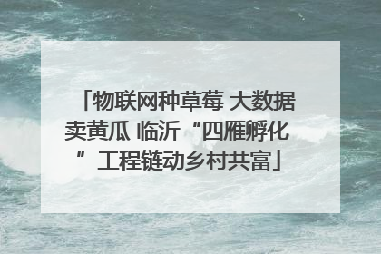 物联网种草莓 大数据卖黄瓜 临沂“四雁孵化”工程链动乡村共富