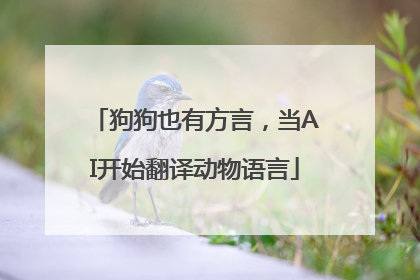 狗狗也有方言，当AI开始翻译动物语言