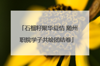石榴籽聚华夏情 随州职院学子共绘团结卷