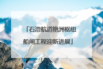 石澧航道艳洲枢纽船闸工程迎新进展