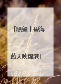 瞭望丨碧海蓝天映煤港