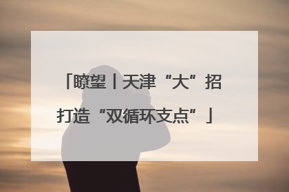 瞭望丨天津“大”招打造“双循环支点”