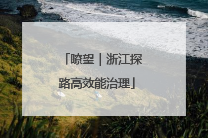 瞭望｜浙江探路高效能治理