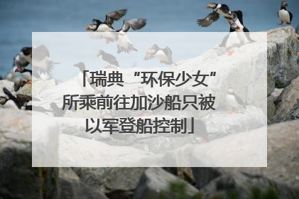 瑞典“环保少女”所乘前往加沙船只被以军登船控制
