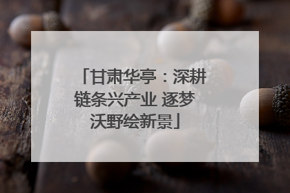 甘肃华亭：深耕链条兴产业 逐梦沃野绘新景