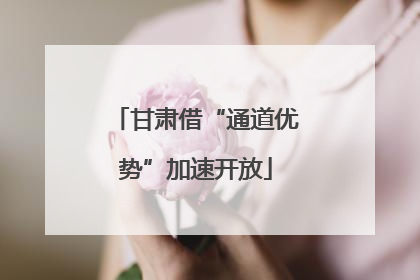 甘肃借“通道优势”加速开放