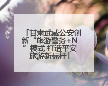 甘肃武威公安创新“旅游警务+N”模式 打造平安旅游新标杆