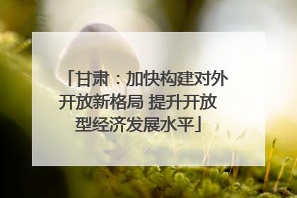 甘肃：加快构建对外开放新格局 提升开放型经济发展水平