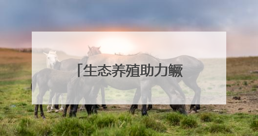生态养殖助力鳜鱼变“网红”