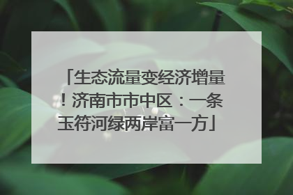 生态流量变经济增量！济南市市中区：一条玉符河绿两岸富一方