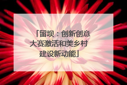留坝：创新创意大赛激活和美乡村建设新动能