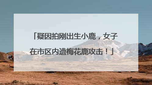 疑因拍刚出生小鹿，女子在市区内遭梅花鹿攻击！