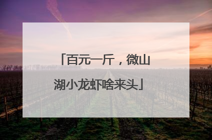 百元一斤，微山湖小龙虾啥来头