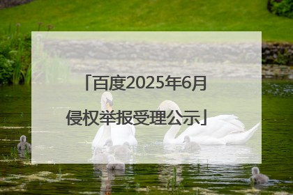 百度2025年6月侵权举报受理公示