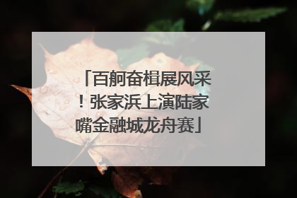 百舸奋楫展风采！张家浜上演陆家嘴金融城龙舟赛