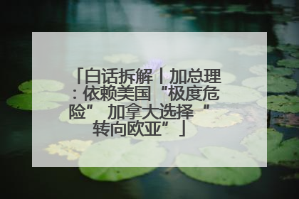 白话拆解丨加总理：依赖美国“极度危险” 加拿大选择“转向欧亚”