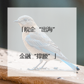 皖企“出海” 金融“撑腰”