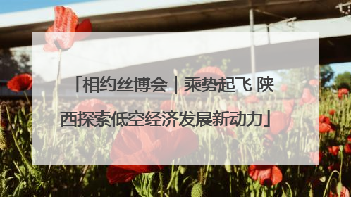 相约丝博会｜乘势起飞 陕西探索低空经济发展新动力