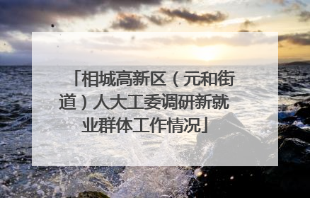 相城高新区（元和街道）人大工委调研新就业群体工作情况