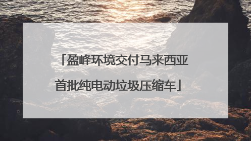 盈峰环境交付马来西亚首批纯电动垃圾压缩车