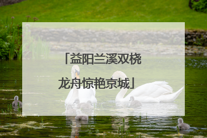 益阳兰溪双桡龙舟惊艳京城