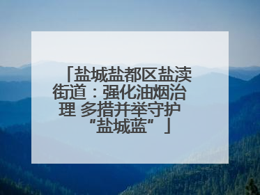 盐城盐都区盐渎街道：强化油烟治理 多措并举守护“盐城蓝”