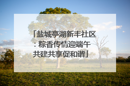 盐城亭湖新丰社区：粽香传情迎端午 共建共享促和谐