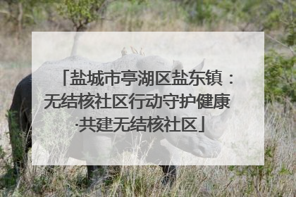 盐城市亭湖区盐东镇：无结核社区行动守护健康 ·共建无结核社区