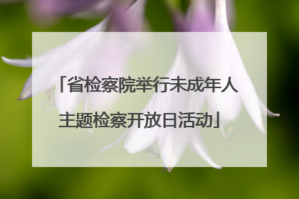 省检察院举行未成年人主题检察开放日活动