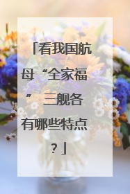 看我国航母“全家福” 三舰各有哪些特点？
