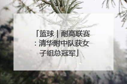 篮球｜耐高联赛：清华附中队获女子组总冠军