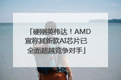 硬刚英伟达！AMD宣称其新款AI芯片已全面超越竞争对手