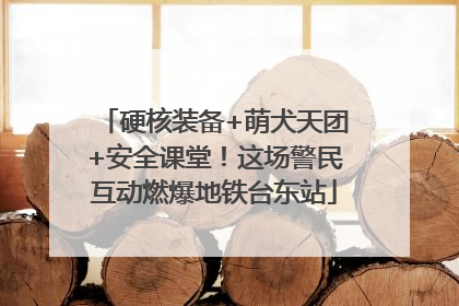 硬核装备+萌犬天团+安全课堂！这场警民互动燃爆地铁台东站