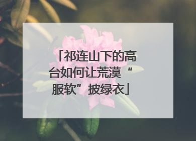 祁连山下的高台如何让荒漠“服软”披绿衣