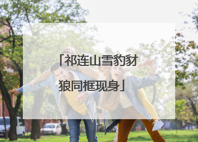 祁连山雪豹豺狼同框现身