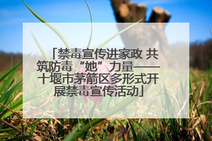 禁毒宣传进家政 共筑防毒“她”力量——十堰市茅箭区多形式开展禁毒宣传活动