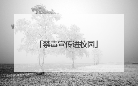禁毒宣传进校园
