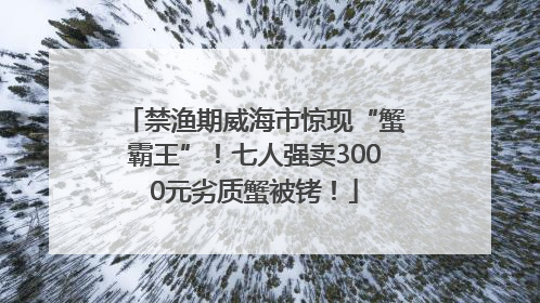 禁渔期威海市惊现“蟹霸王”！七人强卖3000元劣质蟹被铐！