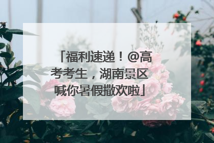福利速递！@高考考生，湖南景区喊你暑假撒欢啦